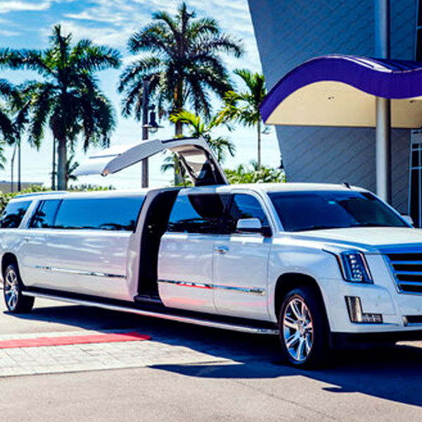Limousines - Image 2