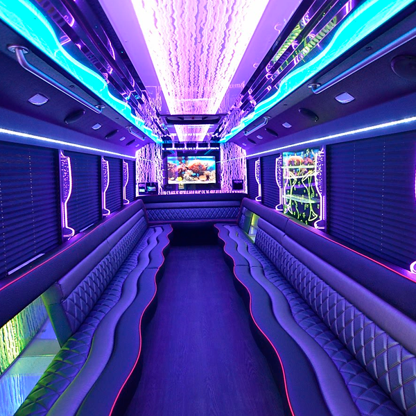 Party Bus - Image 5