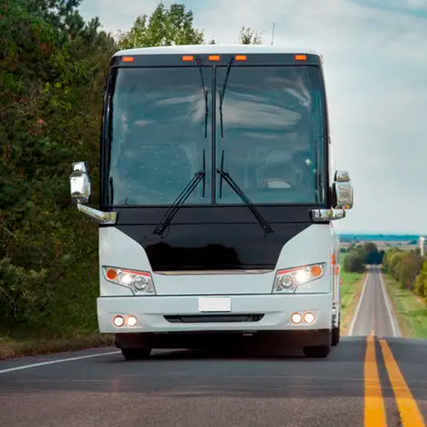 Executive Bus