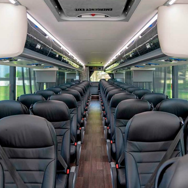 Executive Bus - Image 4
