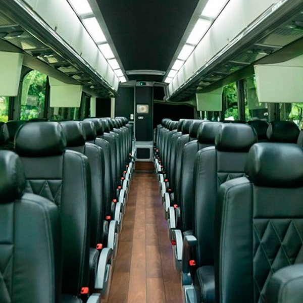 Executive Bus - Image 3