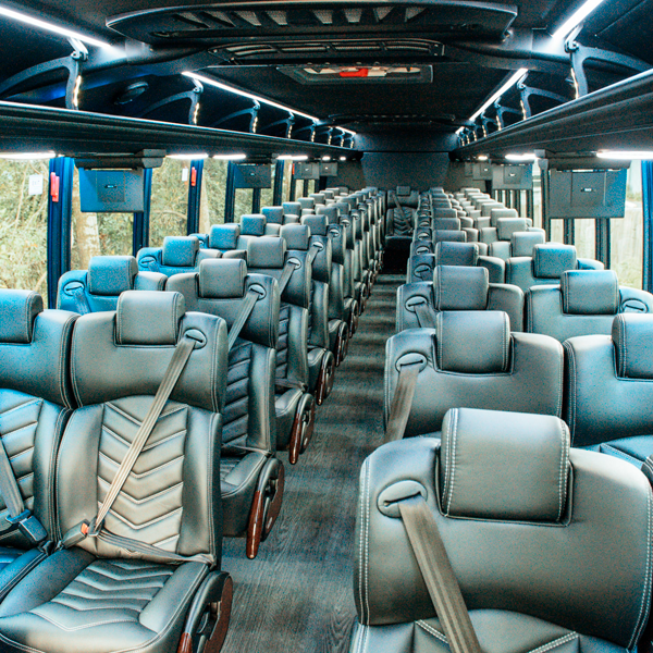 Executive Bus - Image 2