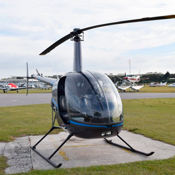 Robinson R22 or Similar - Image 6