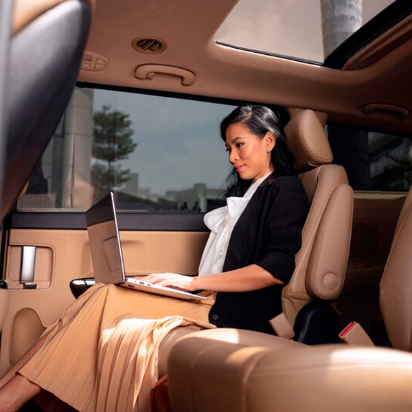 Private Chauffeur - Image 5