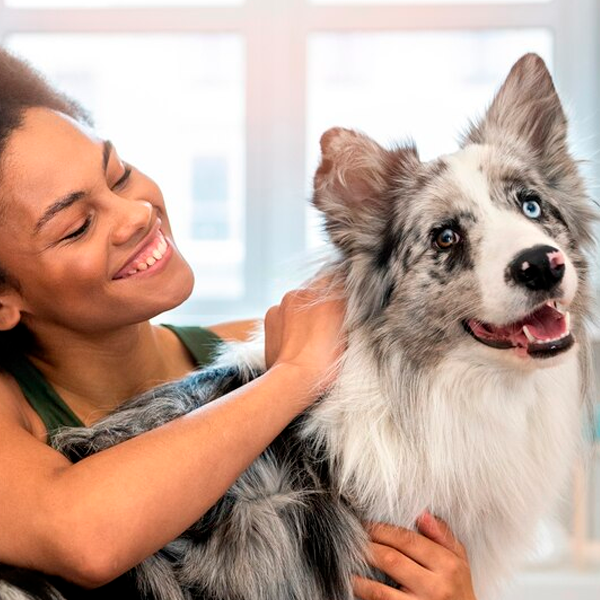 Luxury Pet Sitters - Image 4