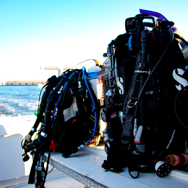 Exclusive Scuba Diving - Image 4