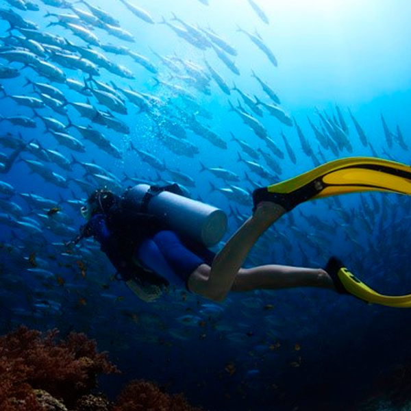 Exclusive Scuba Diving