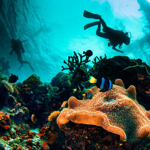 Exclusive Scuba Diving - Image 2