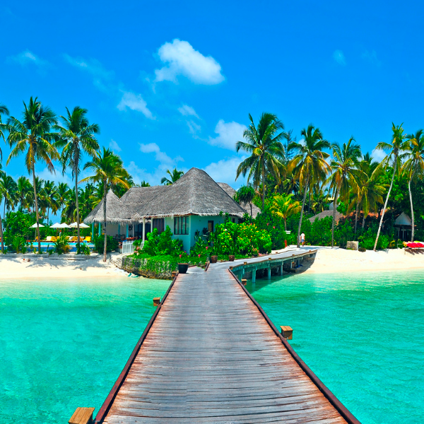 Private Island Excursions